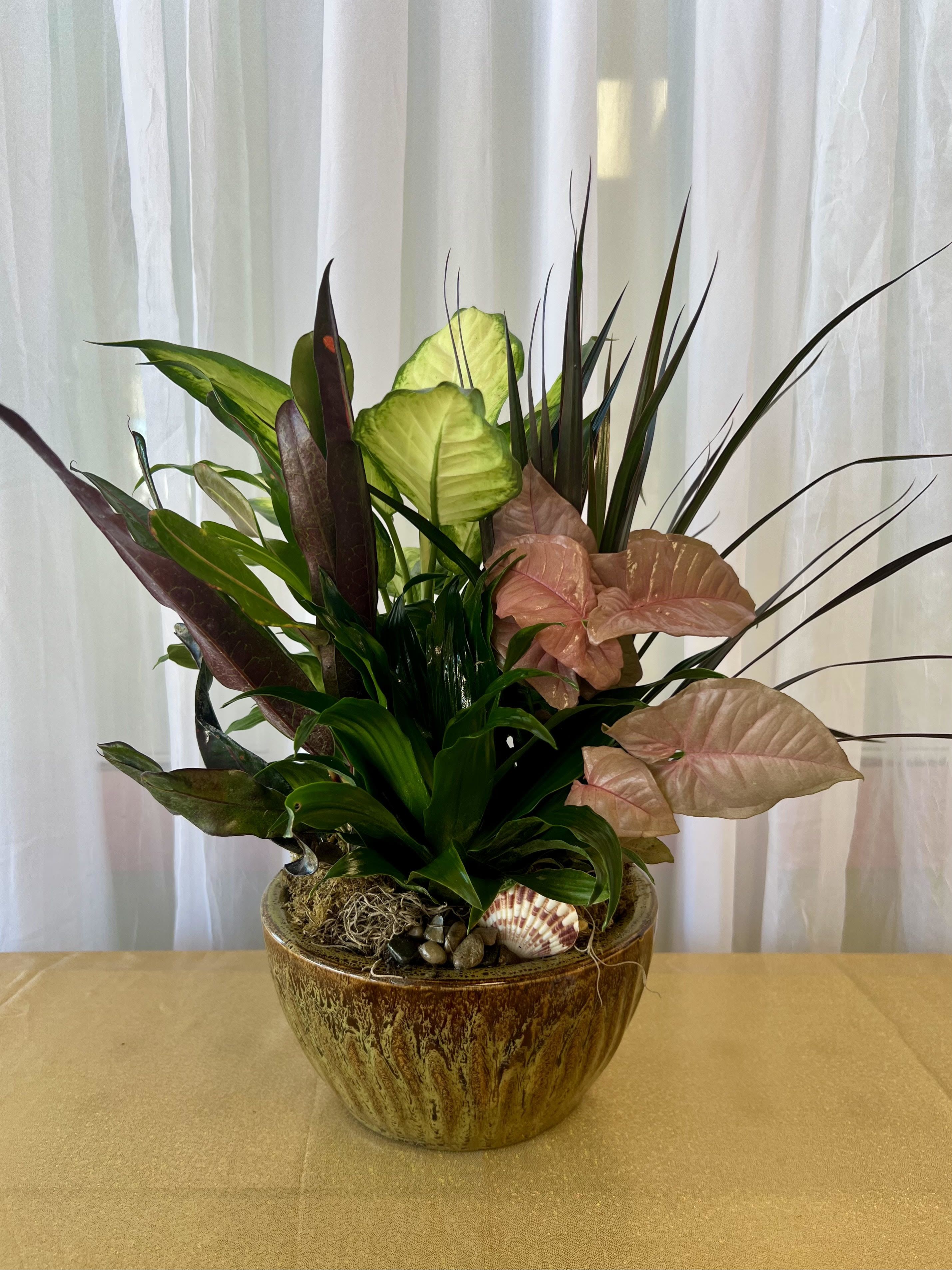 Dish Garden, 6-Inch Ceramic Container - A beautiful mix of lush green plants artfully arranged in a decorative container. This long- lasting gift brings a touch of nature indoors and is perfect for any occasion- sympathy, get well, thank you or just because. Easy care gift