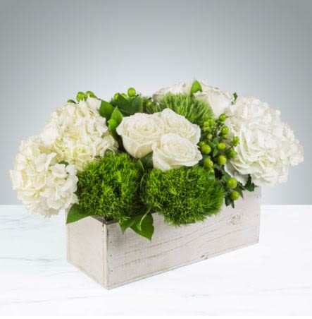 The Hamptons Flower -  Pet Friendly? NO . While roses are generally safe, Hydrangeas contain cyanogenic glycosides which can cause stomach upset in cats and dogs if ingested. Keep this wooden box on a high counter or mantle away from curious household pets.    Human Allergy Note : No major allergy-triggering flowers noted. These blooms have low pollen visibility and are generally well-tolerated by most people.   Care &amp; Longevity : To keep your Hamptons arrangement fresh, check the water level daily. Since this is a box arrangement, gently pour water into the center of the foam or container to keep it saturated. Avoid placing the wood box directly in the sun, near heat sources, or under cold air vents. Remove any fading petals or hydrangea florets to encourage the remaining blooms to last.   Best Occasions &amp; Situations : - Elegant Birthday - Housewarming Gift - Sympathy &amp; Comfort - Thinking of You - Dinner Party Centerpiece - Corporate Office Decor - Anniversary   Why Customers Love It : - Low-profile height is perfect for dining tables where you want to see your guests. - Modern rustic contrast between the whitewashed wood and crisp white petals. - Long-lasting texture provided by the hardy Dianthus and Hypericum berries. - Gift-ready presentation that doesn’t require the recipient to find their own vase.