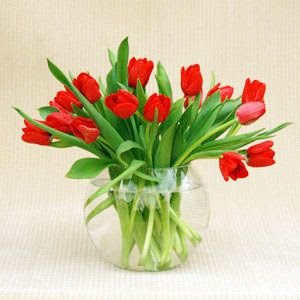 Red tulips arranged in a clear glass vase