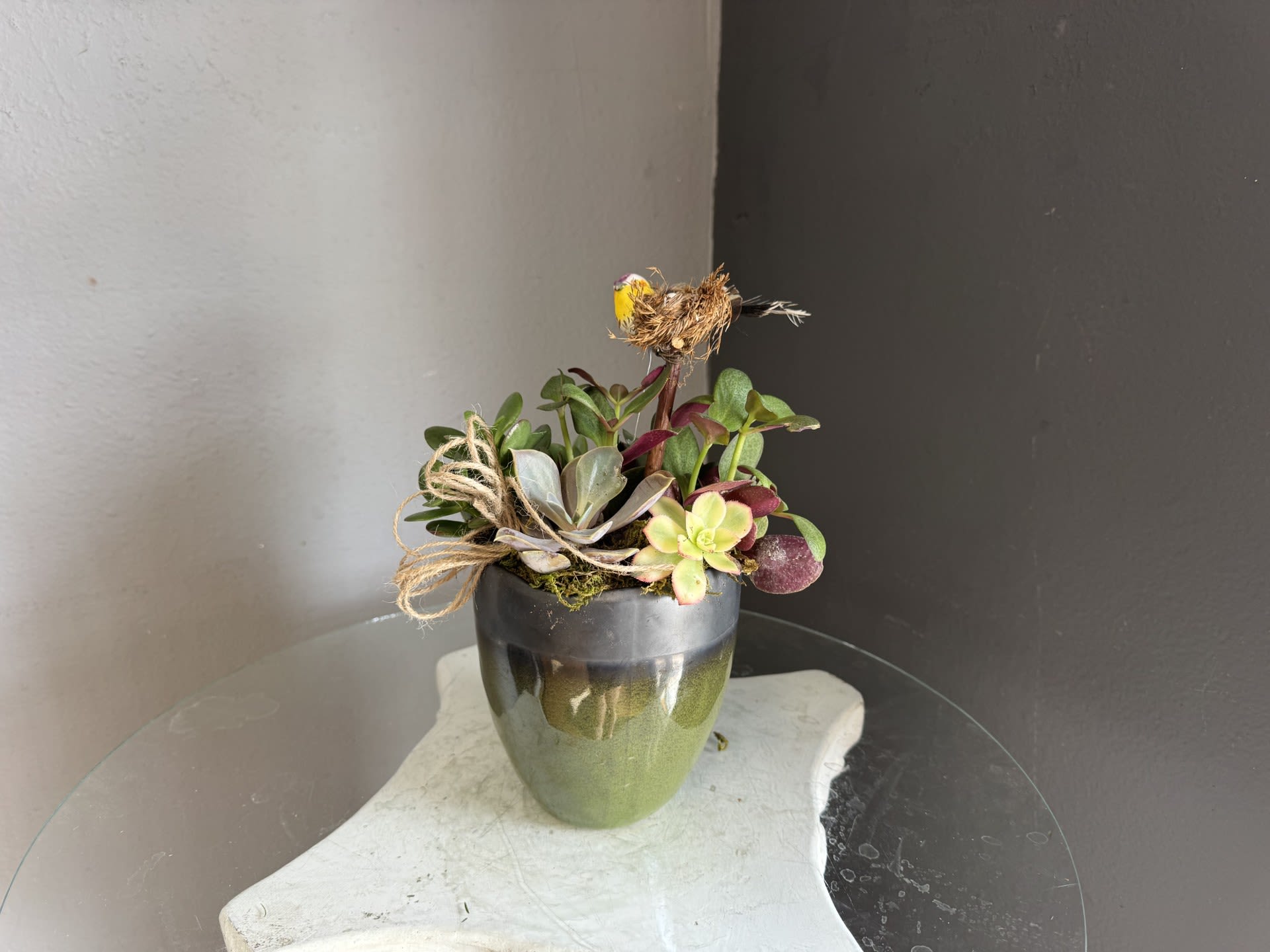 Bird nest plant - succulents in a green pot with a bird in a nest accent piece
