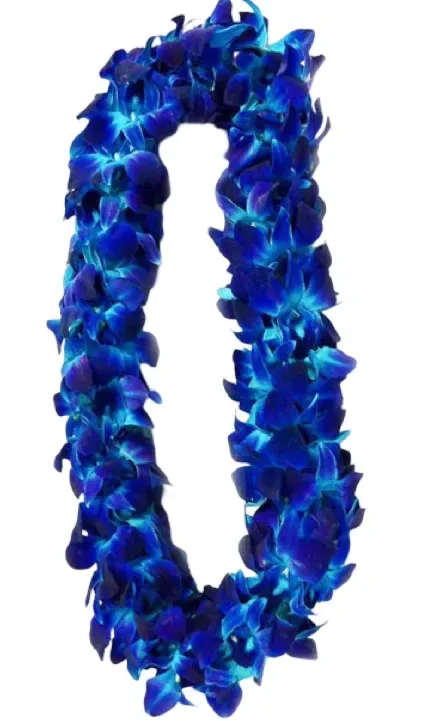 Blue Orchid  Lei - A bold loop of densely packed blue and purple blossoms makes this floral lei necklace a show-stopping choice for weddings and celebratory ceremonies. As a wedding lei, it reads festive and decorative-the vivid cyan-to-indigo color contrast and compact, wearable form ensure the recipient will feel honored and noticed as they enter the room.  Handcrafted as a thick, continuous necklace, the lei features tightly arranged blue and purple blooms that create a tropical, ornamental silhouette rather than a loose, natural garland. Designed to sit comfortably around the neck, it functions as both wearable floral jewelry and a keepsake accessory for the person you're celebrating.  Perfect for brides, attendants, or guests looking to mark the moment with color and texture, this lei sends a message of celebration and aloha that feels joyful and intentional. Order sizing and care details are available at checkout to ensure the lei arrives fresh and ready to wear for your wedding ceremony or festive event.