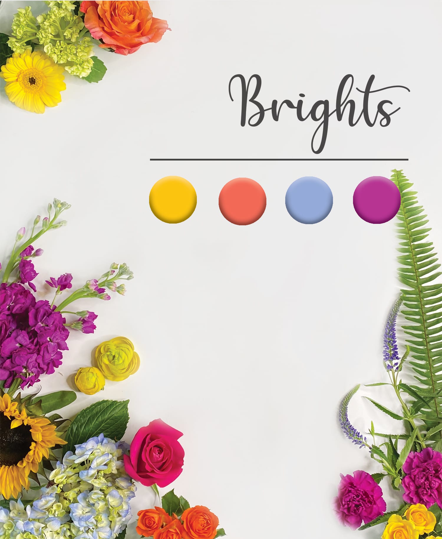 Bright floral border of sunflowers, roses, hydrangea, and other flowers framing the word Brights.
