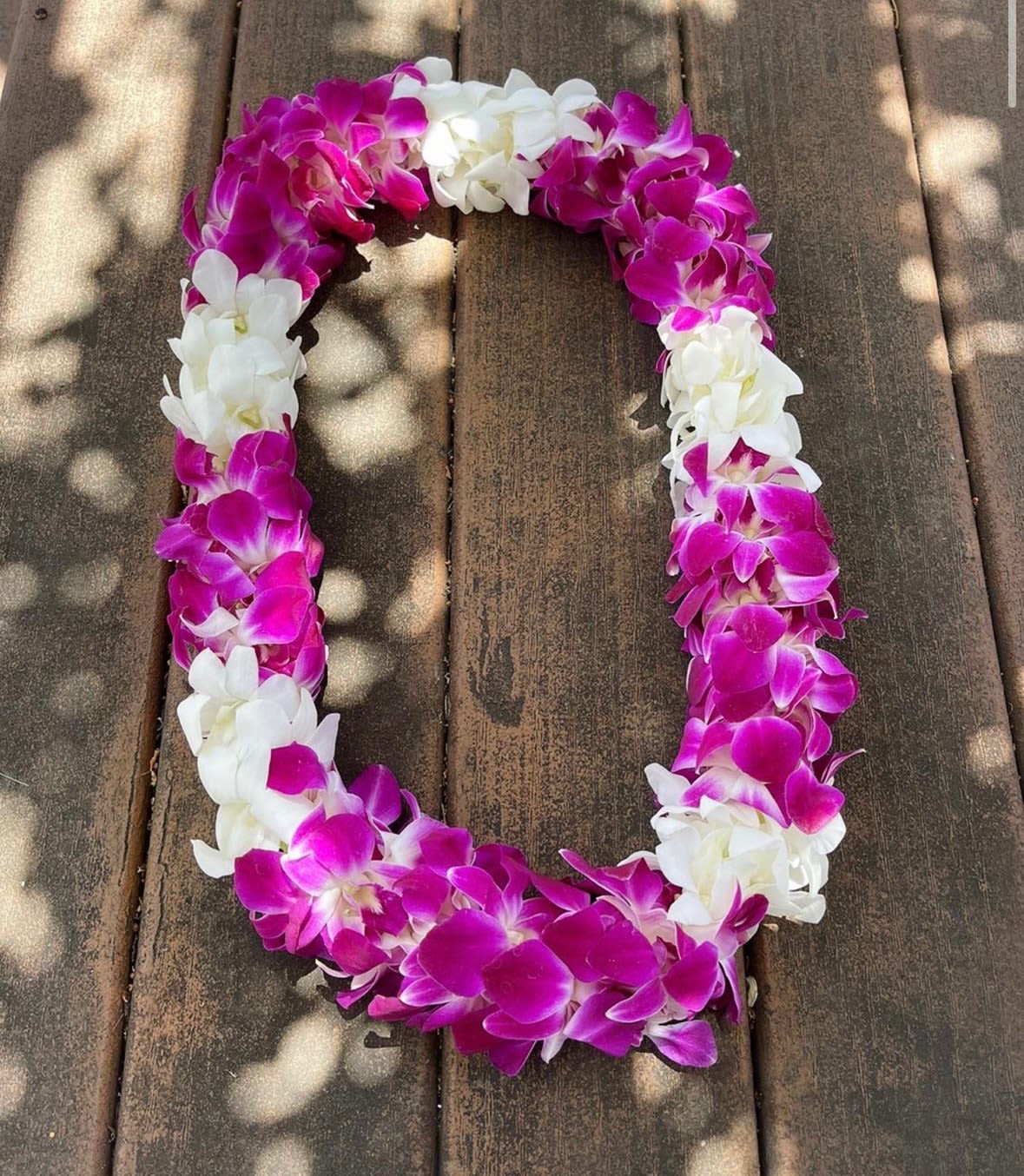Purple and White orchid  lei  - Saturated magenta and bright white orchid blooms are strung together into a compact, oval lei that makes a striking graduation bouquet or "just because" gift. This purple-and-white orchid lei reads celebratory and tropical-perfect for graduations, birthdays, springtime celebrations, or any moment you want to say "congrats" with flair-so the person you're honoring will feel singled out and celebrated.  Densely arranged pink and white orchids form a continuous, festive loop with a bold color contrast that stands out in photos and ceremony settings. The lei's compact, closely packed construction gives it a substantial, wearable feel; its size and oval shape make it ideal to place over the head or drape across shoulders. For best longevity, present it the same day as the event and keep it cool and shaded until worn to preserve the blooms' color and texture.