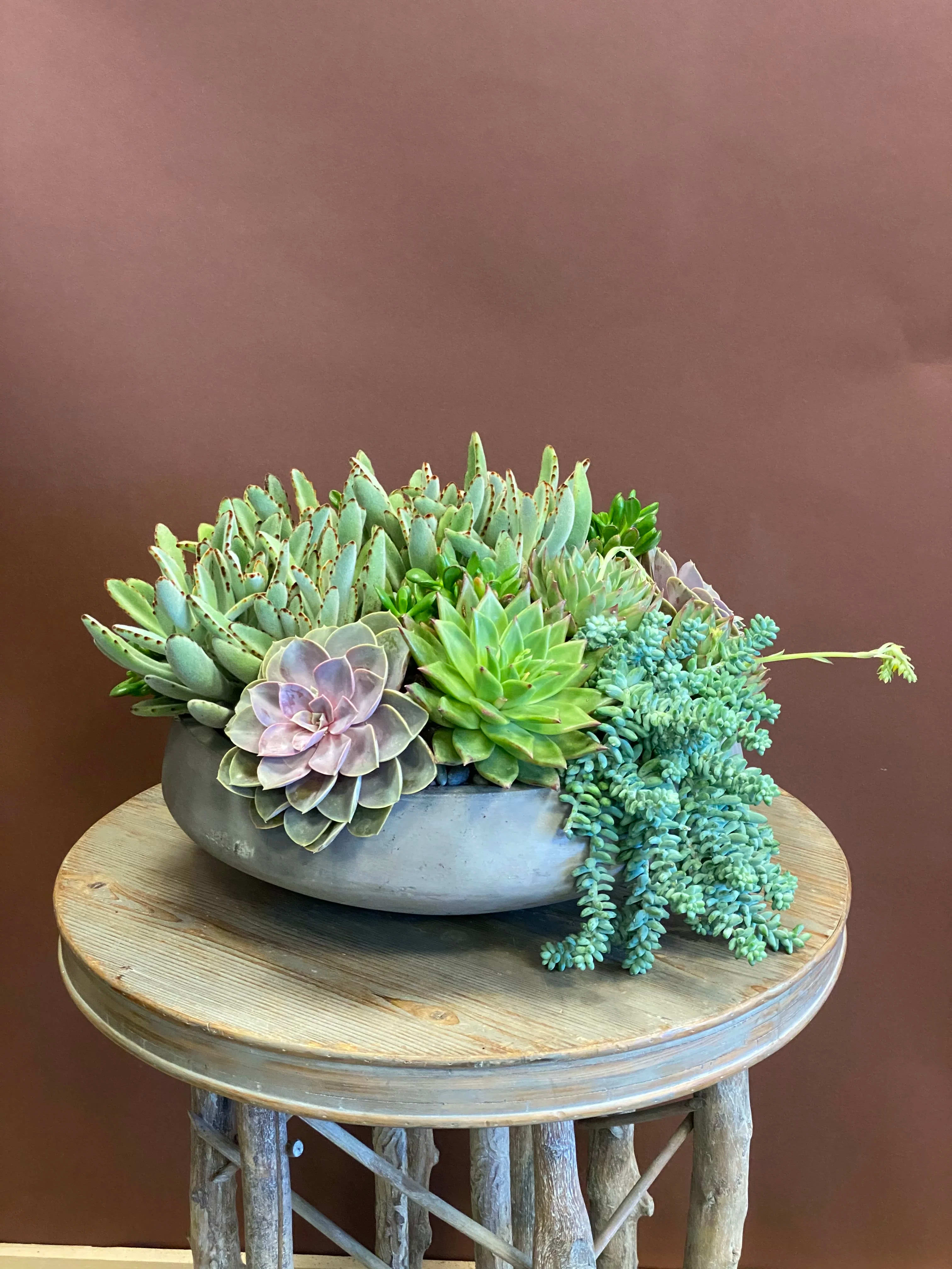 Succulent arrangement in a shallow gray bowl on a wooden table