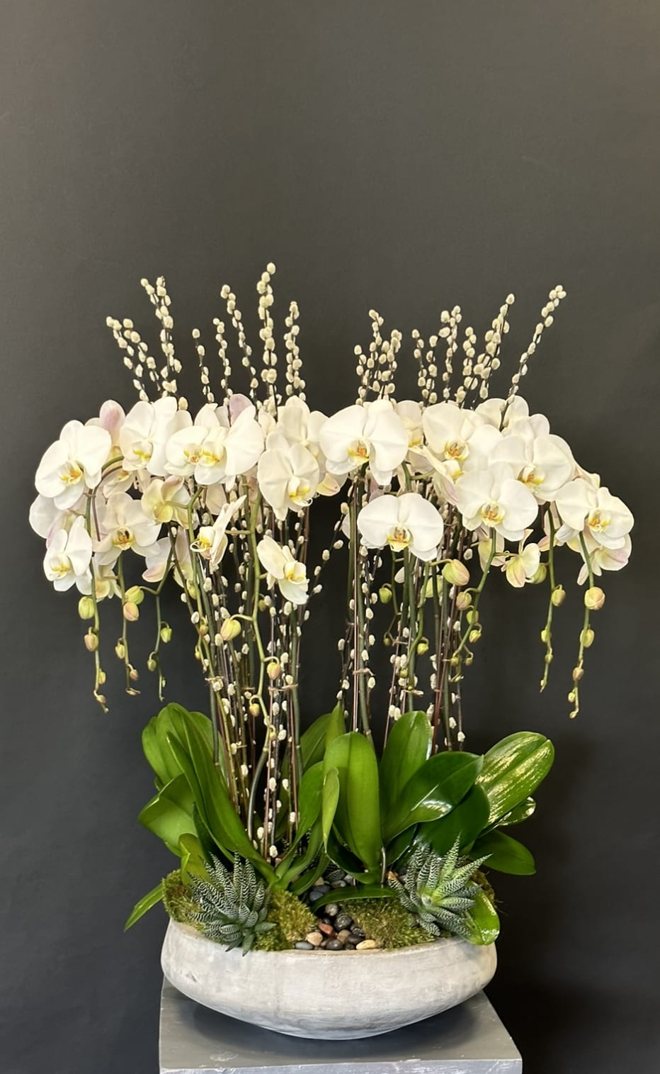 White orchids arranged in a low oval planter with succulents