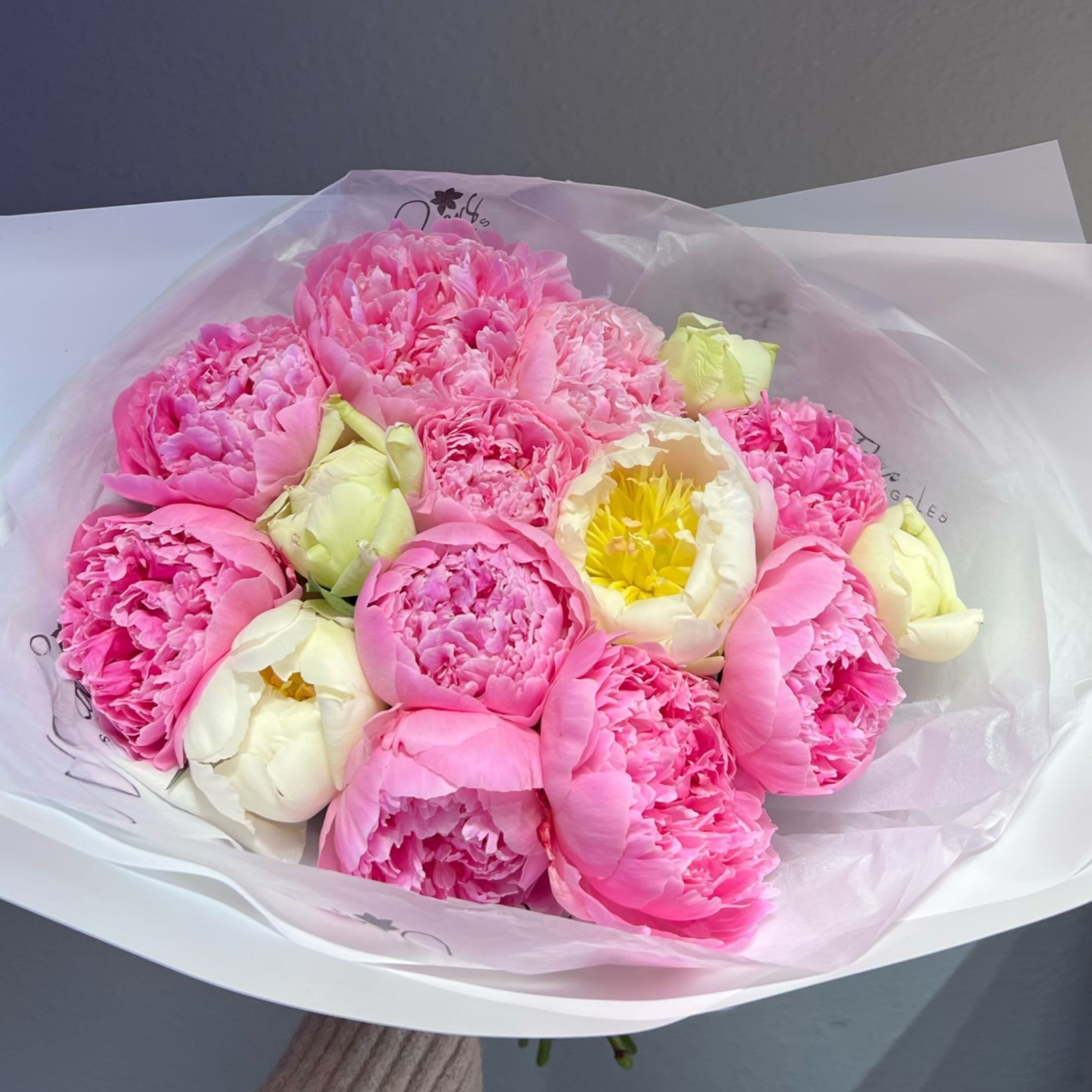 Bouquet of pink and white peonies wrapped in translucent paper