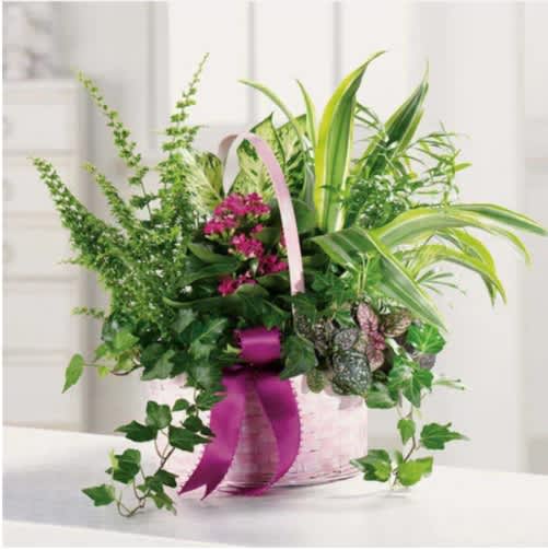 Pink flowers and mixed greenery in a pink basket with a ribbon