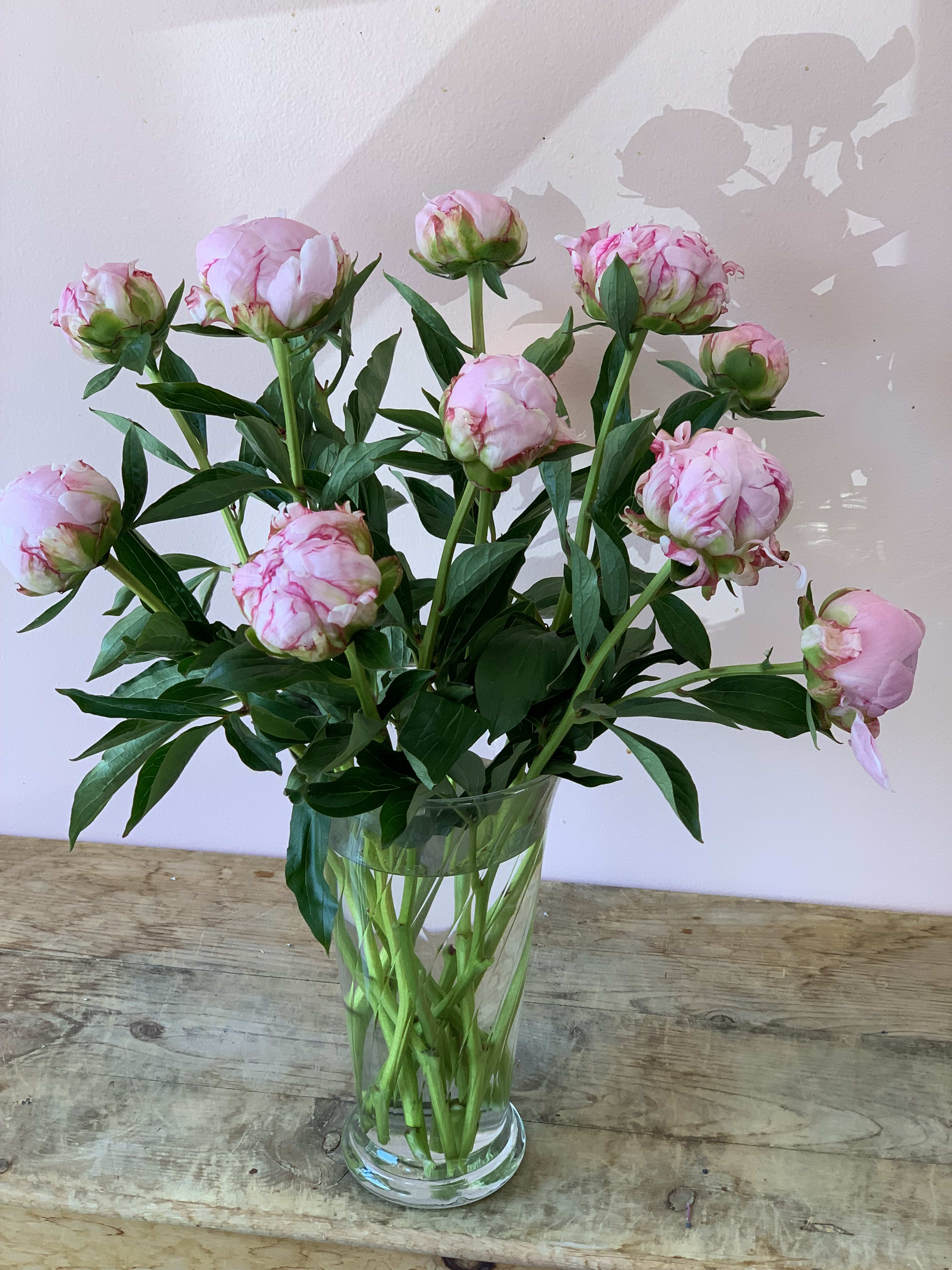 Pink peony stems in a clear glass vase