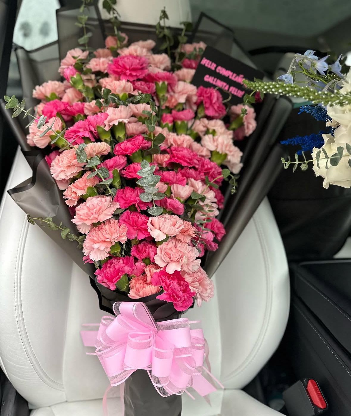 Carnations Galore! - Extra large carnation bouquet