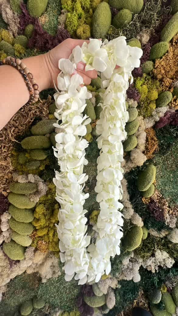 Deluxe White Lei - Double the amount of orchids of a standard lei for nice thick coverage. For dates outside of our heavy graduation season, please order 5-7 days ahead of time.  Graduation season is  (May 10-20)