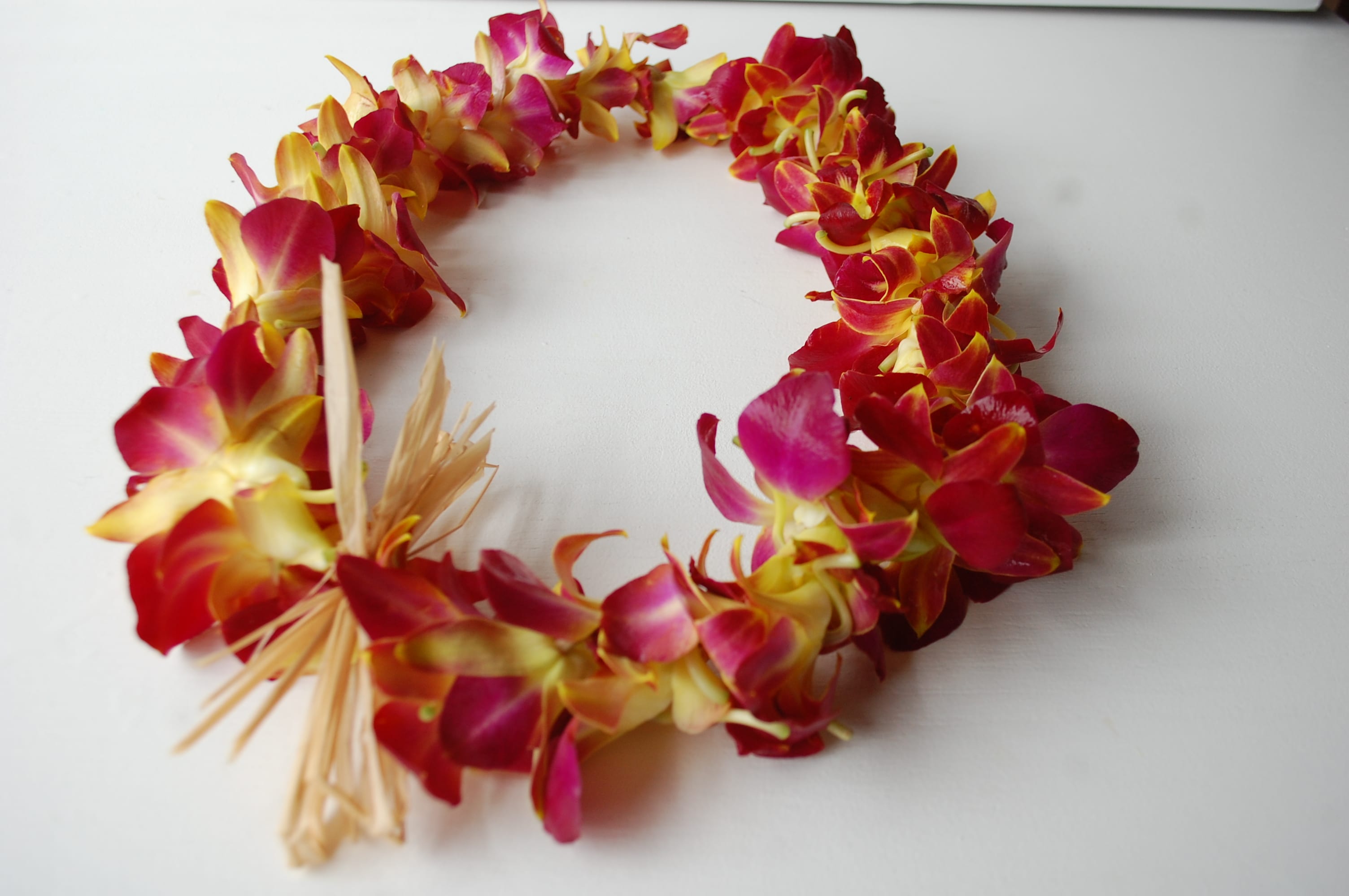 Ruby - Wanna stand out from the crowd. This Ruby lei will be the perfect addition to your shinning star. Must order at least One week in advance  *Please allow 3-5 days to order these special orchids. This color may not be available with short notice. 