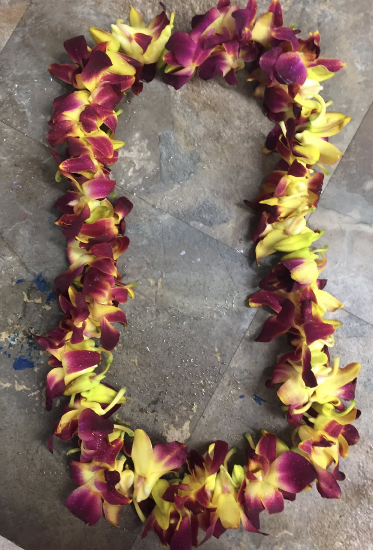 Mix color lei - Mix color 
