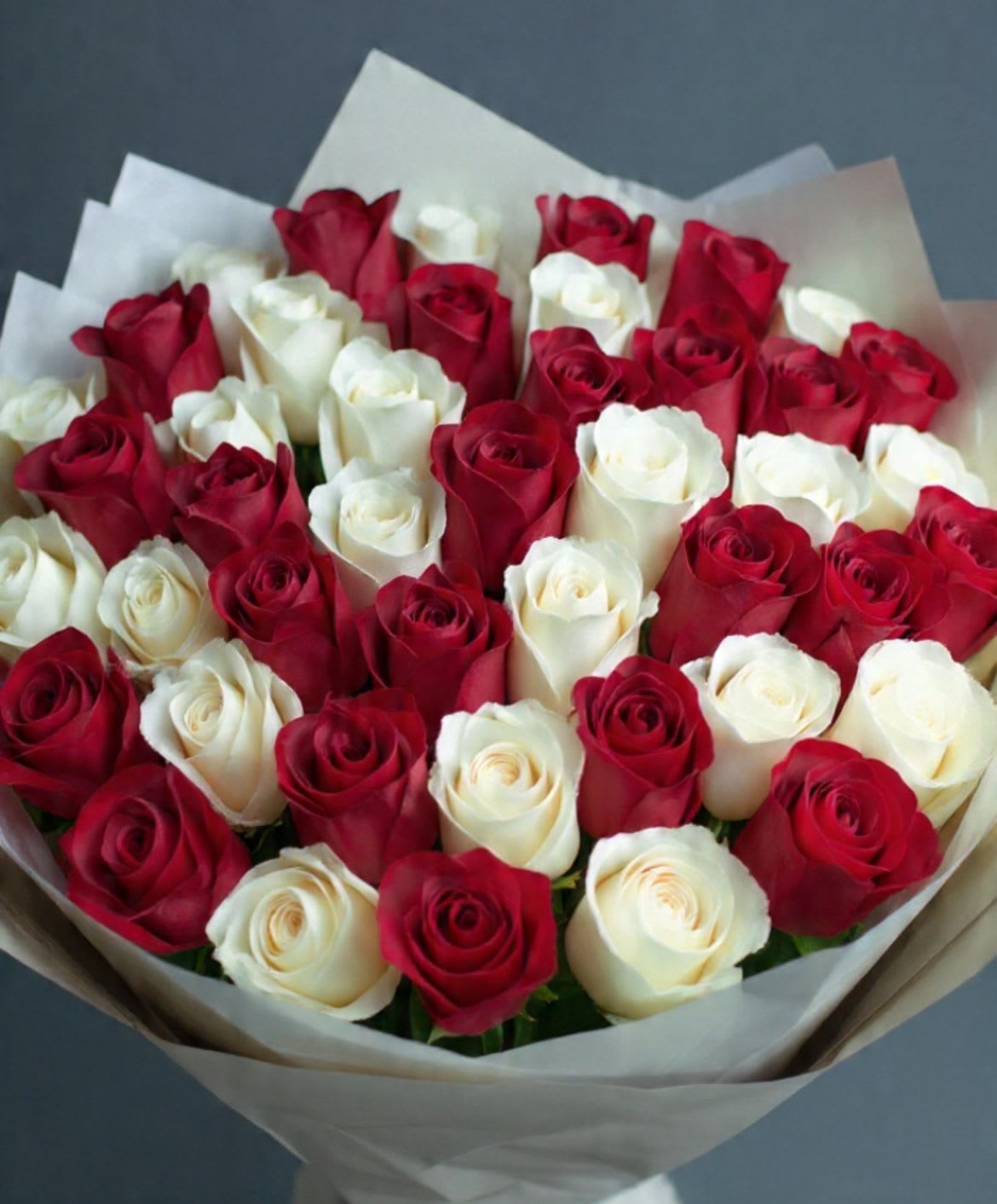 Bouquet of red and white roses wrapped in paper