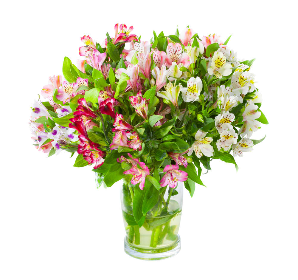 Alstroemeria Explosion (DB) - Introducing our modern vase full of colorful alstroemeria, a vibrant and cheerful display that will brighten up any space. This stunning arrangement showcases the beauty of alstroemeria, also known as Peruvian lilies, in a contemporary and eye-catching design.