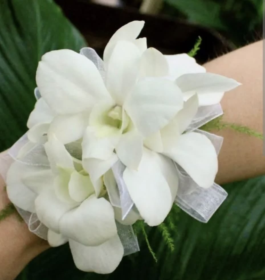 White prom corsage dendrobium orchid - white dendrobium corsage All of our corsages and boutonnieres are handcrafted and one-of-a-kind. Because flowers grow naturally, colors and textures can vary, and substitutions may occasionally be made to ensure the freshest blooms. Your piece may differ slightly from the images shown, but it will always be designed in the same style and spirit.