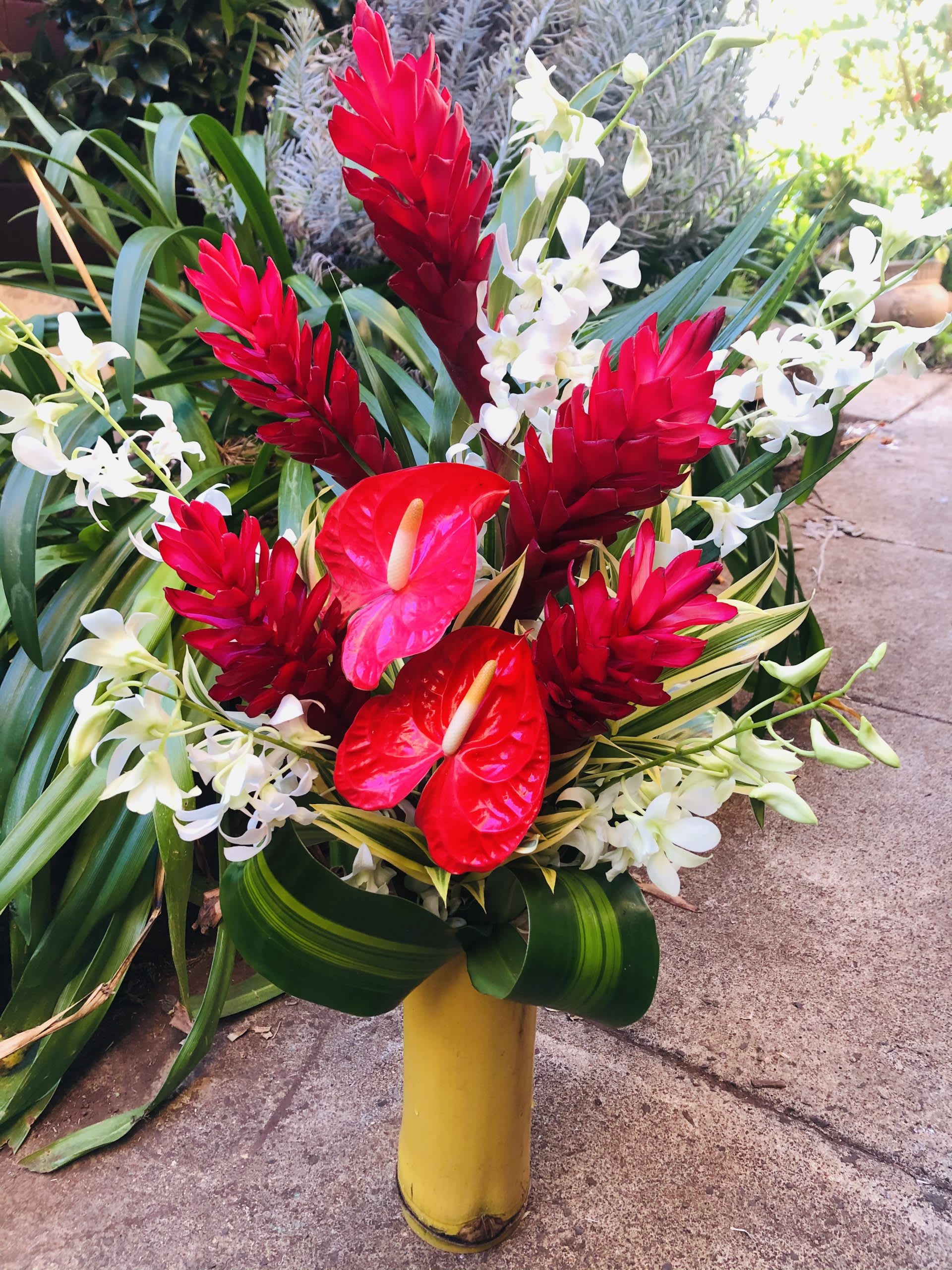 Bamboo Blooms (NATIONAL SHIPPING) - Introducing "Bamboo Blooms" - an extraordinary floral arrangement that brings the essence of Maui to your doorstep, available for nationwide shipping. Each carefully selected bloom is sourced fresh from the captivating landscapes of Maui, capturing the spirit of the island's natural beauty.  Nestled within a bamboo vessel, "Bamboo Blooms" embodies the harmony between nature and artistry. The elegance of bamboo serves as a tranquil backdrop, elevating the vibrant colors and exquisite textures of the blooms. This captivating arrangement is designed to ignite your senses and transport you to the tropical paradise of Maui, no matter where you are in the country.  Embrace the enchantment of "Bamboo Blooms" as it arrives at your door, carefully packaged to preserve its freshness during shipping. Delight in the magnificence of Maui's blooms, brought to life in this exquisite arrangement. Immerse yourself in the essence of the island, and let the beauty of nature infuse your space, creating an oasis of serenity and natural wonder, no matter where you reside.