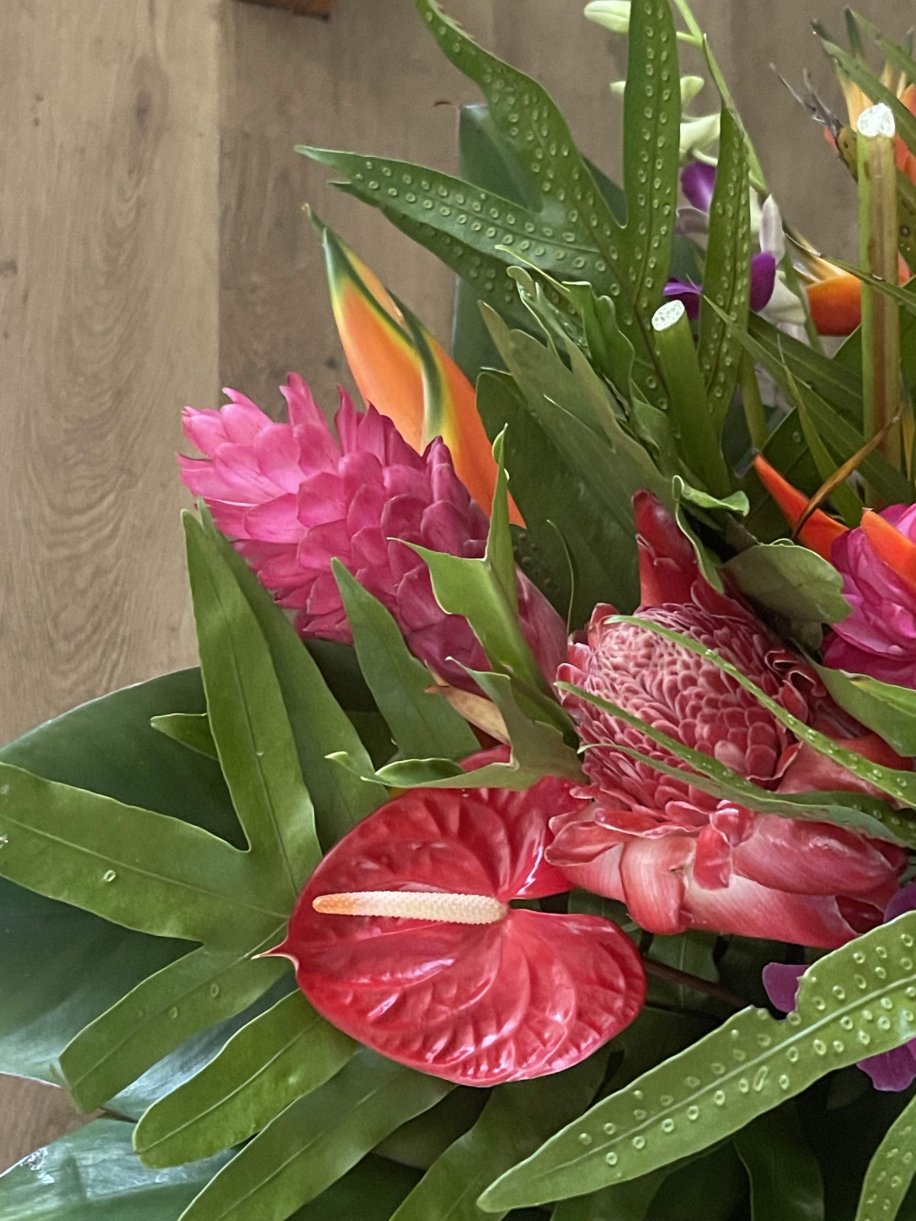 Wrapped floral bouquet wrapped in floral paper and a bow  - Mixed tropical bouquet with cottage blooms, and exotic foliage 
