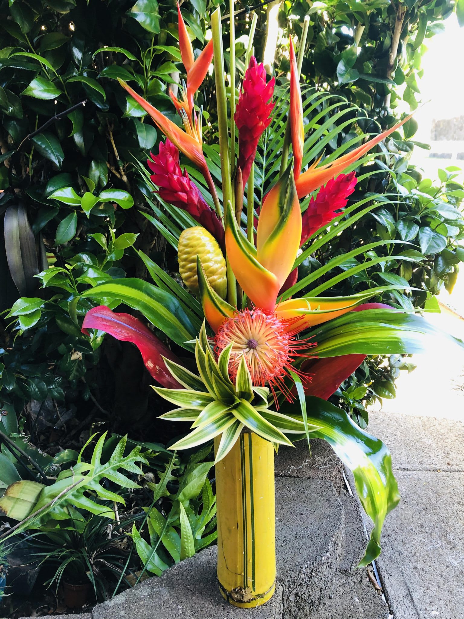FedEx shipping Bamboo sunshine arrangement - May 6 will be the deadline for ordering for Mother’s Day. Your arrangements will arrive before Mother’s Day. Any orders after May 6 your flowers will arrive 2 to 3 days estimation,  after Mother’s Day This arrangement is only available with FedEx two day shipping Bamboo sunshine arrangement This stunning  collection of protea and tropical flowers will bring the warm feeling of Hawaii into the homes and hearts of your friends and family.  **Fresh Cut Bamboo Vase included**  A generous selection of exotic   stems flowers &amp; foliage  Flowers are seasonal and may require substitution of equal value.  fedEx_tiny SHIPPING INCLUDED  Read about our delivery schedule