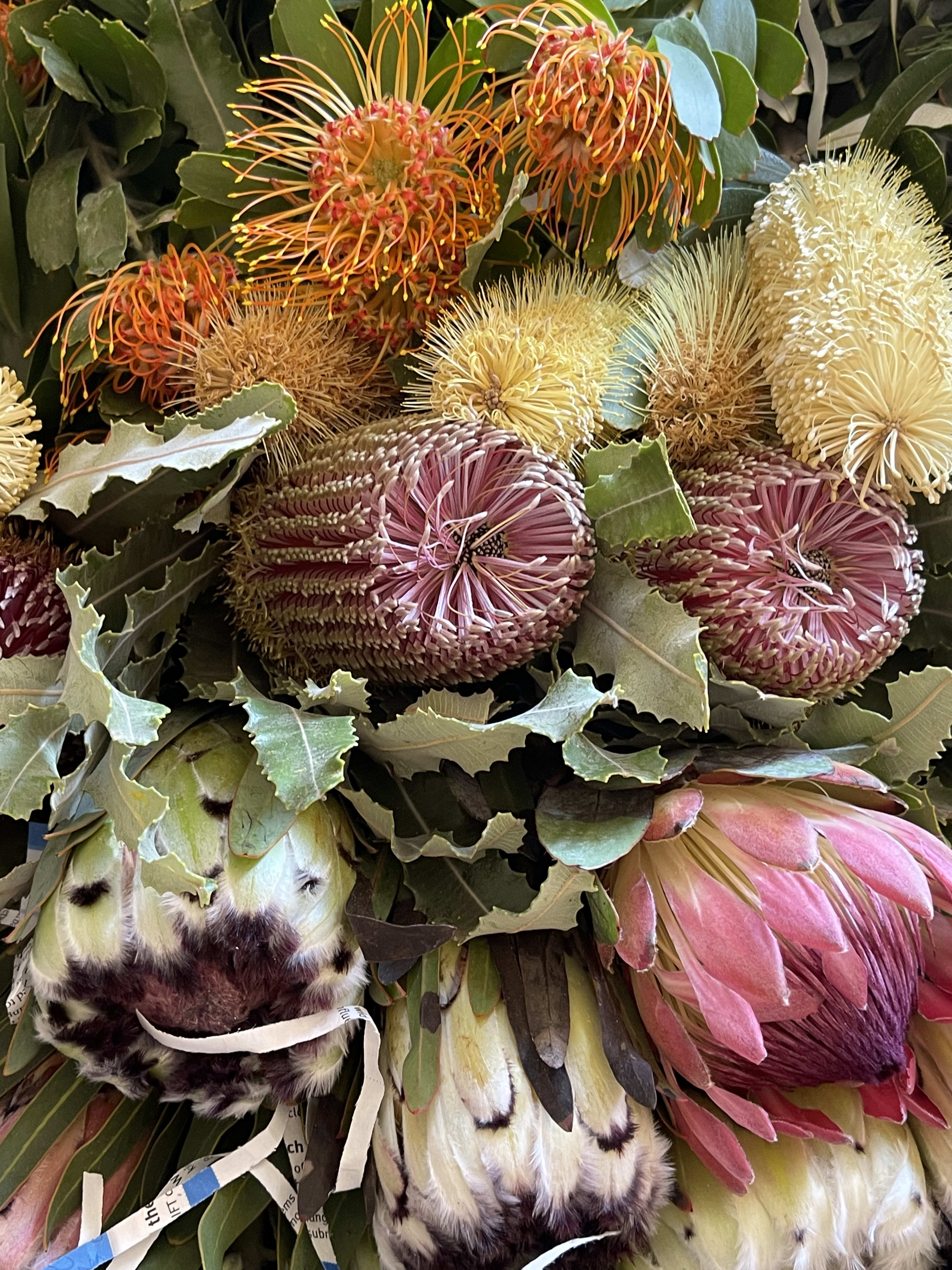 Fresh cut flowers shipped to you in a box - Fresh Cut flowers straight from the farm and shipped to your door These beautiful boxes of mixed  exotic foliage  with tropical cut flowers this box of the worlds finest blooms come with a One hour florist class  this one on one session Floral tutorial is fun and inviting classes are perfect for any occasion or even simply enjoying and playing with your passion right at home this fun class will inspire you to be creative and much more   