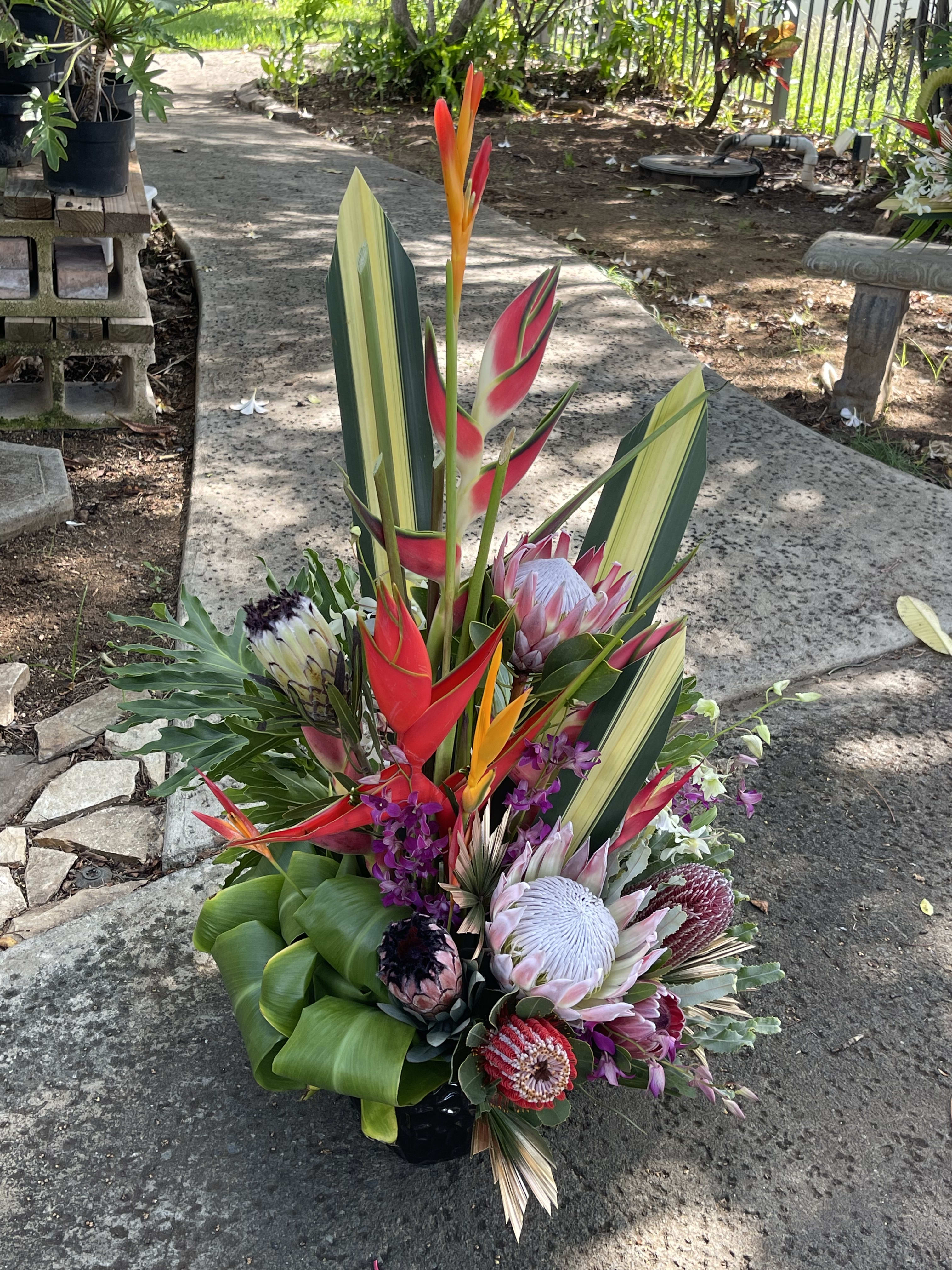 Dionne Chandler Special a elegant &amp; simple arrangement  - This order is for  Dionne Chandler $200 budget The Florals exotic foliage Will be as close as possible we cannot ensure the exact bloom flower color or size leave it up to us and we will find the closest look feeling color as possible if we source the exact flowers we will always do our best with Tropical Florals Hawaii you are in good hands  !!!  Anthuriums &amp; Monstera for table Vases Antheriums &amp; monstera leaves  for November 5th Event.  For pick up  morning of.   10 Pieces Monstera 10 Red Anthuriums.  Size is going to be something similar to this picture.
