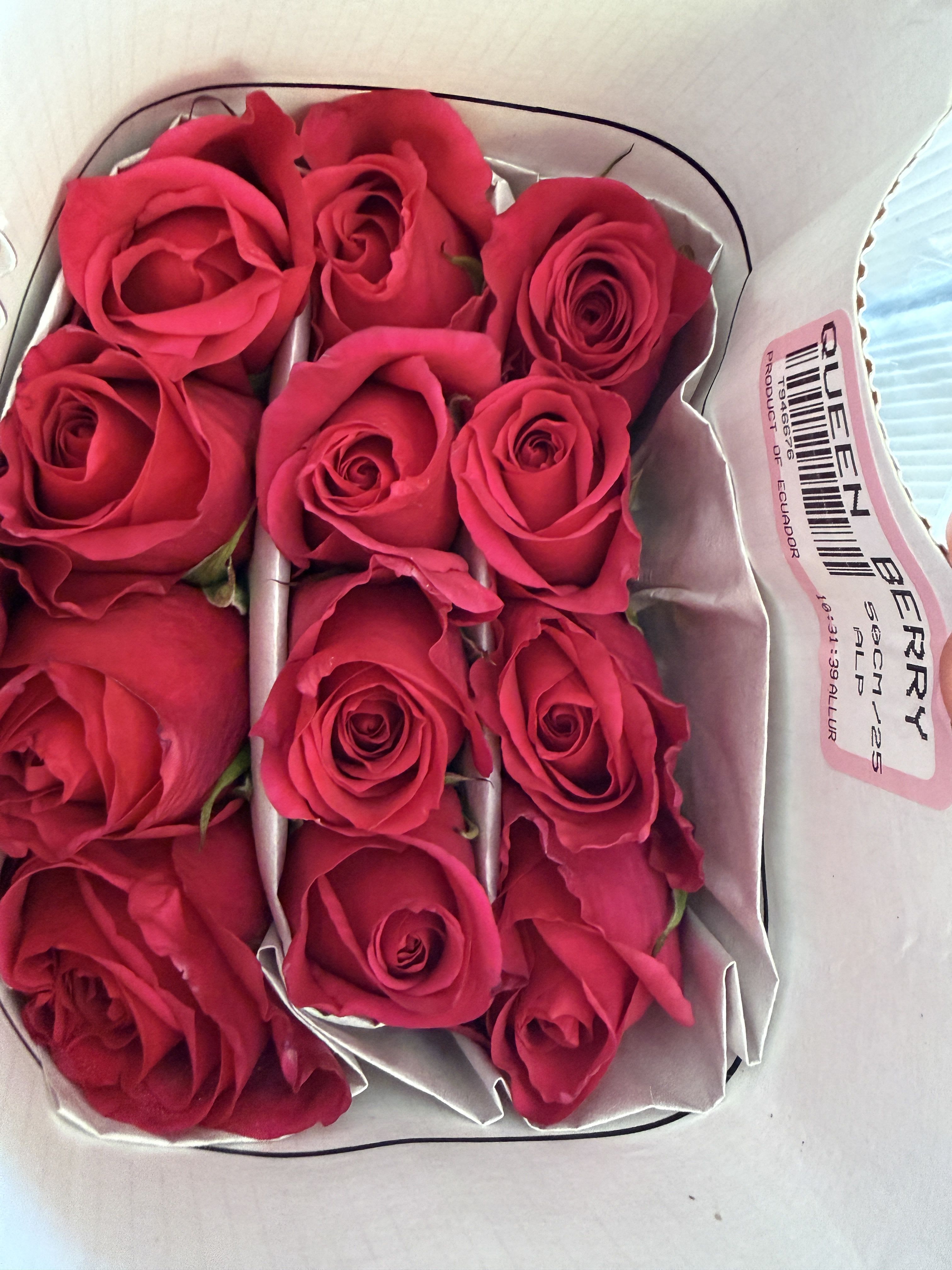 Box of bright pink roses arranged in paper sleeves
