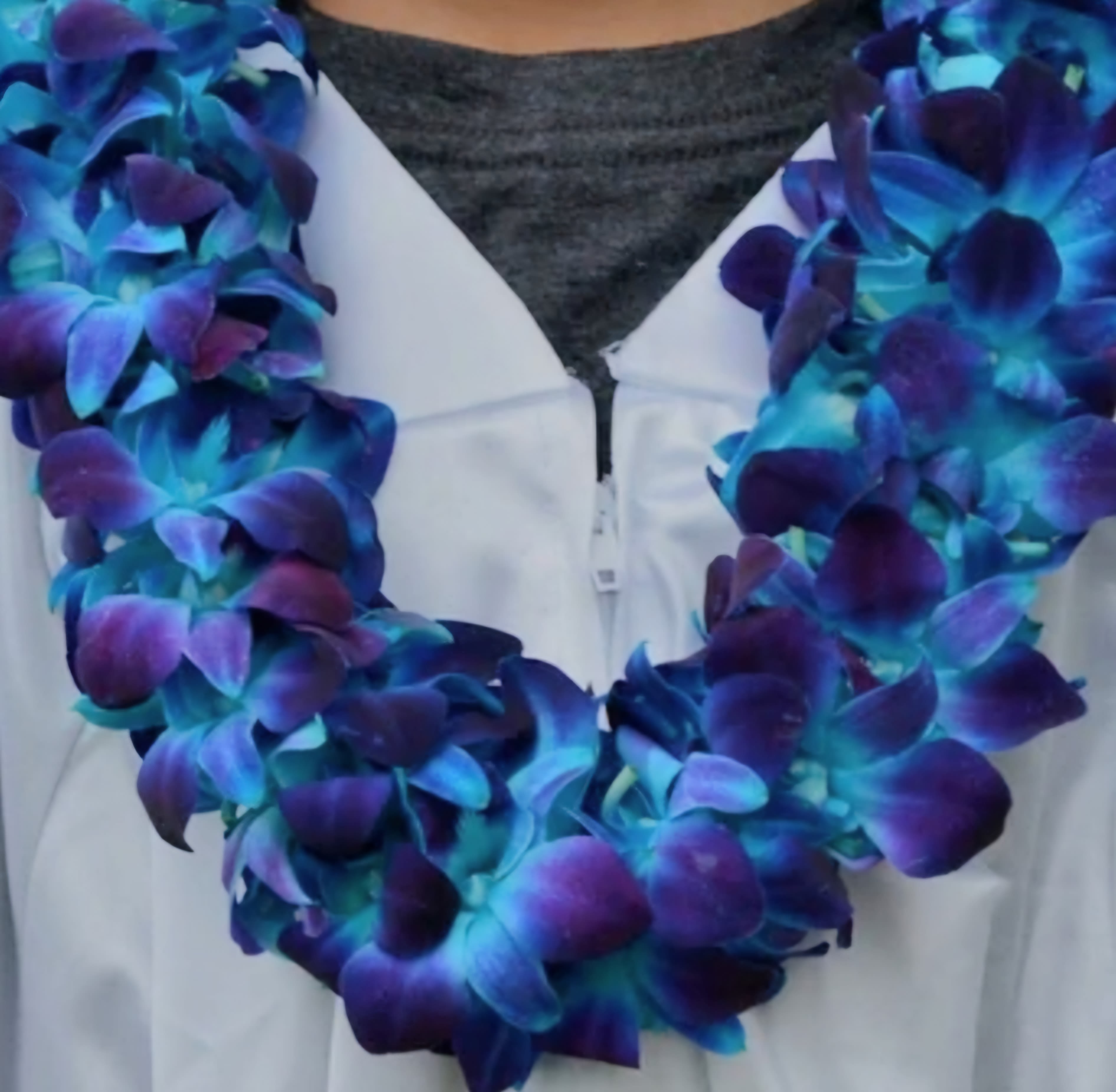 Blue Graduation Lei - Blue double thick graduation lei