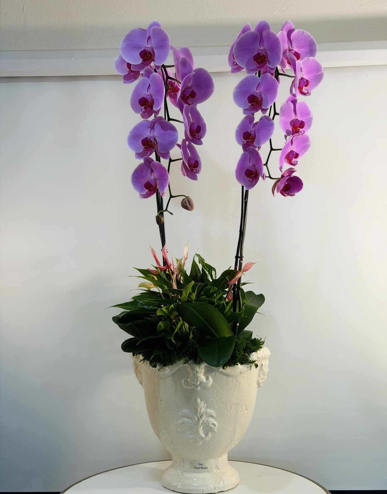 Majestic Orchid Royale - Make a grand statement with our Majestic Orchid Royale arrangement from  Guy Floral Studio This luxurious double stem Phalaenopsis orchid garden features breathtaking cascading purple orchid blooms beautifully designed with lush tropical greenery in an elegant classic ceramic planter.  Perfect for luxury gifting, birthdays, anniversaries, sympathy arrangements, corporate gifts, housewarmings, or upscale interior décor, this orchid arrangement brings elegance, sophistication, and lasting beauty into any home or office.  At  Guy Floral Studio, we specialize in premium orchid arrangements handcrafted daily using fresh orchids and modern European inspired floral design. Every orchid garden is thoughtfully created to feel elegant, artistic, and unforgettable.  We proudly offer same day orchid and flower delivery in Los Angeles, Beverly Hills, West Hollywood, Hollywood Hills, Studio City, Sherman Oaks, Encino, Santa Monica, Beverly Grove, and surrounding areas.  Looking for luxury orchid delivery near you? Our custom orchid gardens are designed to impress and elevate every special occasion.