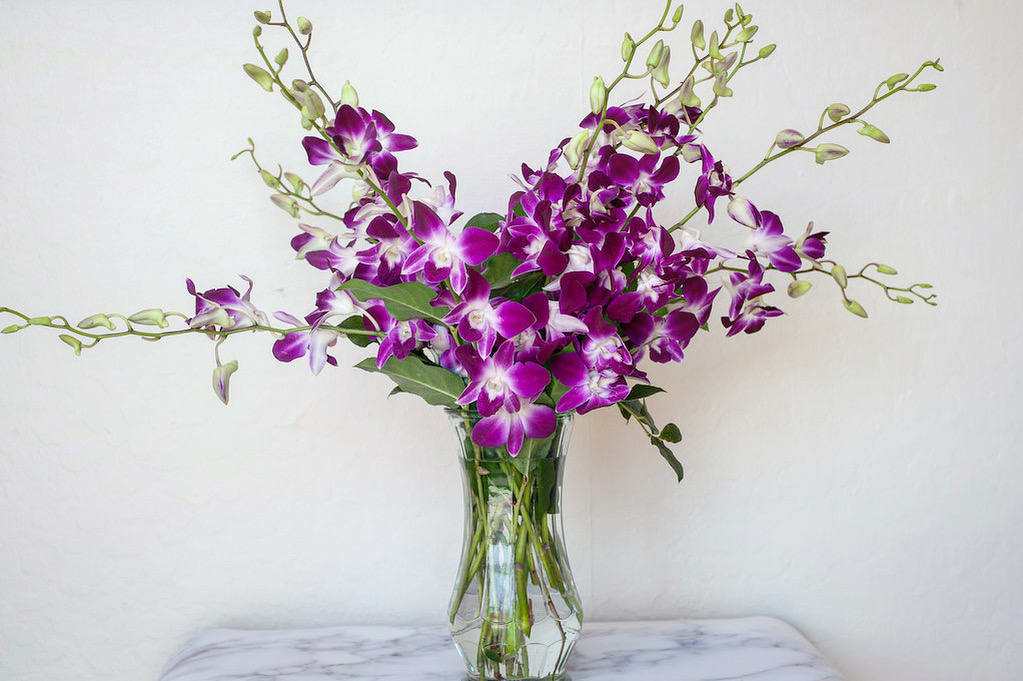 Orchids in a Vase - Elegant purple orchids in a glass vase.
