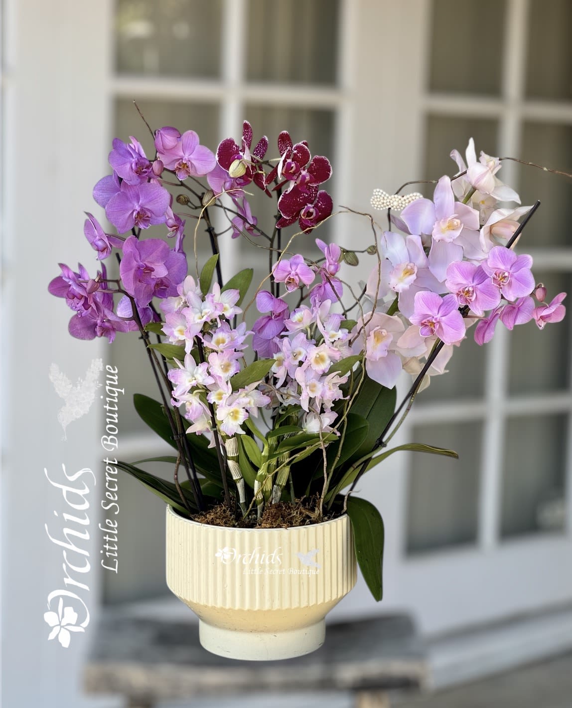 Arrangement of purple and pink orchids in a cream pot