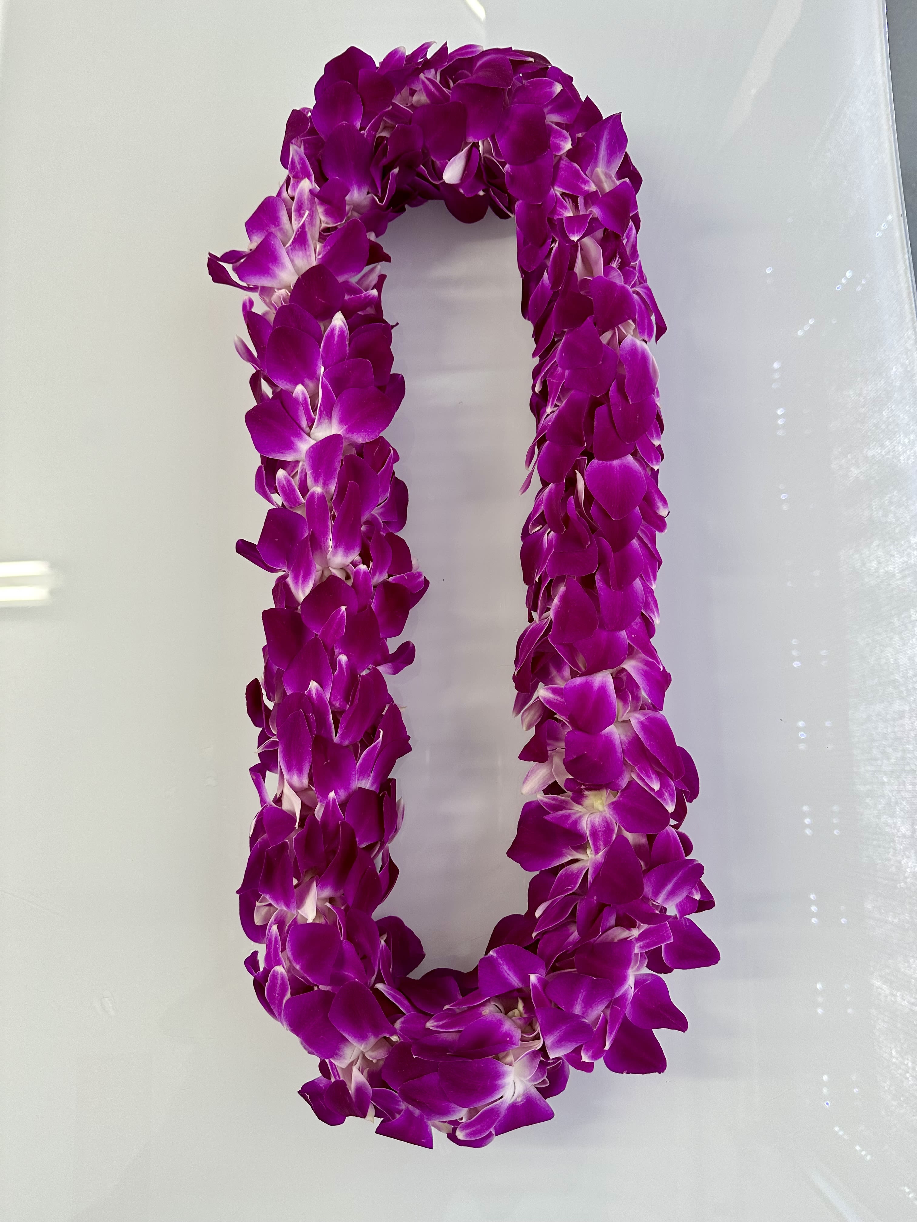 Purple orchid lei on a white background