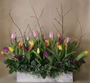 Mixed tulips arranged in a white rectangular planter with bare branches