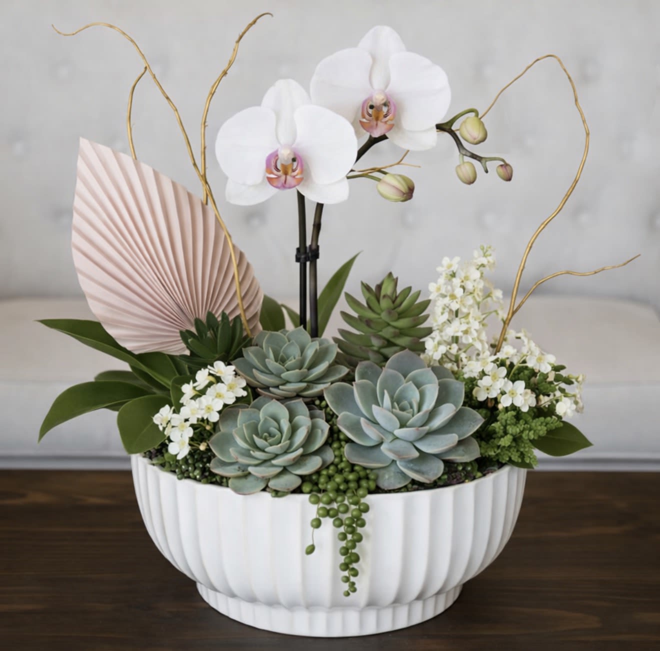 Desert Elegance Succulent &amp; Orchid Garden - Desert Elegance Succulent &amp; Orchid Garden