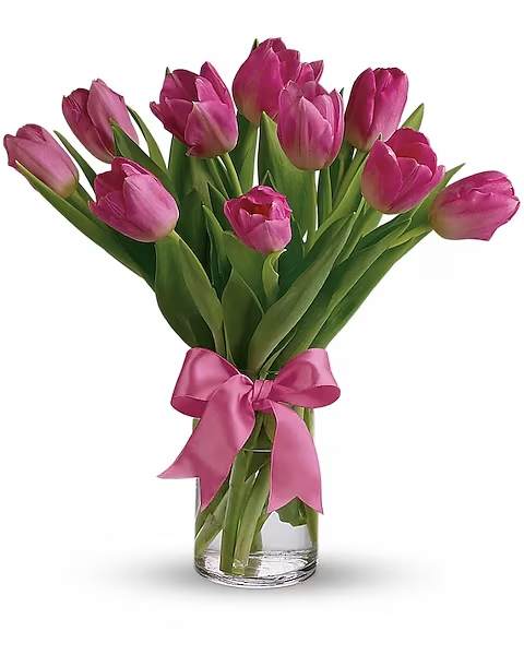 Pink tulips in a clear glass vase with a pink ribbon