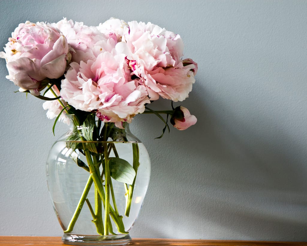 Pink peonies in a clear glass vase