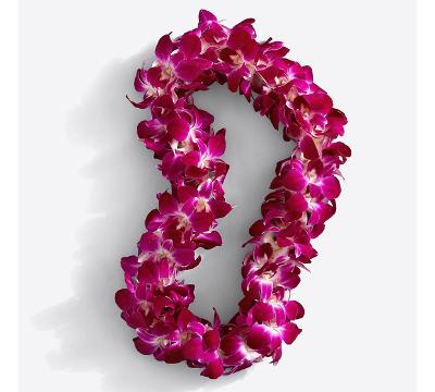 Magenta orchid lei on a white background