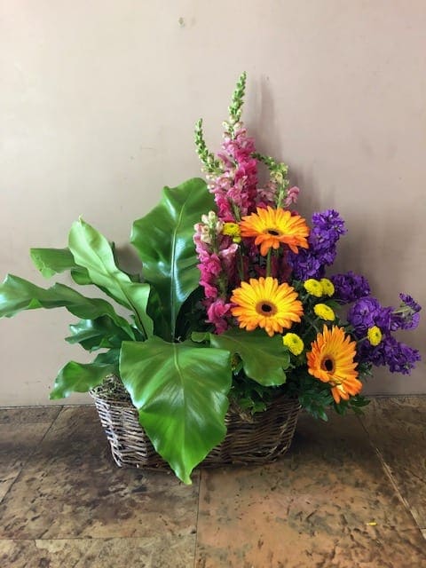 Basket arrangement with orange gerbera daisies and purple flowers