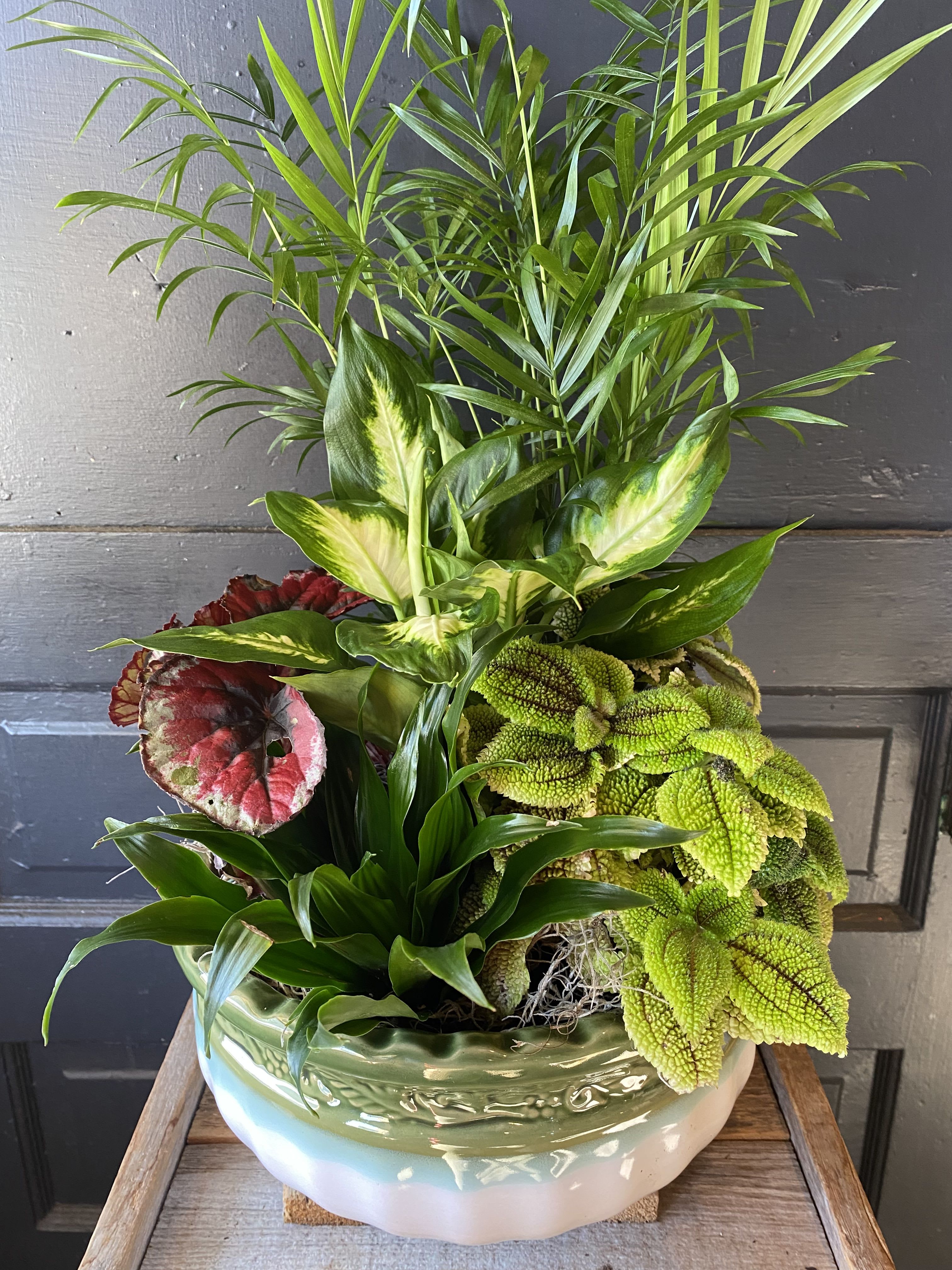 Mixed tropical foliage arrangement in a ceramic bowl