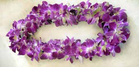 Purple orchid lei on a light background