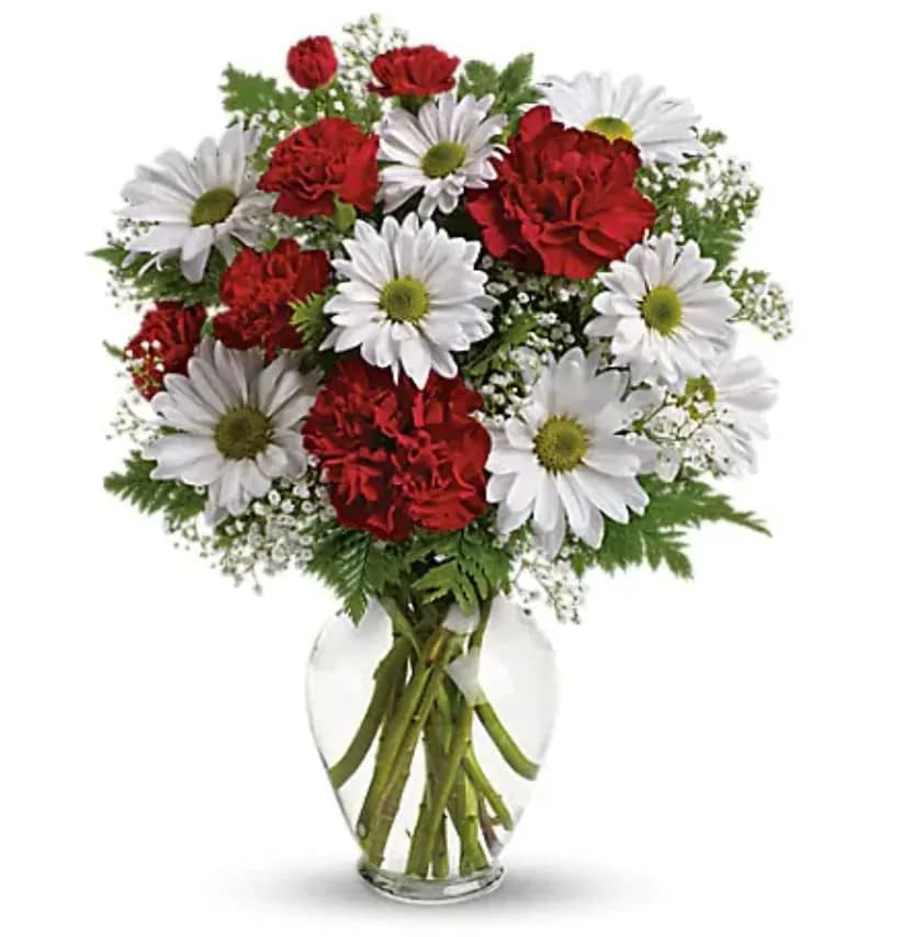 Kindest Heart Bouquet - A special show of kindness, on Valentine's Day or any day of the year! This eye-catching arrangement of red carnations, white daisies and delicate baby's breath will surprise and delight your special someone - and remain a treasured memory for years to come. Red carnations, red miniature carnations, white daisy spray chrysanthemums, baby's breath and leatherleaf fern. Delivered in a spring garden vase.   Orientation : One-Sided  