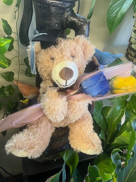 Graduation and flowers  - graduation Bear with yellow and blue roses 