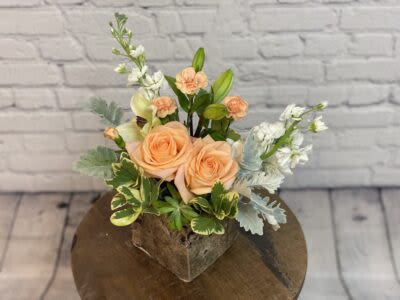 Southern Peach Flower -  Pet Friendly? No — Contains Asiatic Lily, which are toxic to cats.  Keep out of reach; avoid homes with curious cats.   Human Allergy Note : No major allergy-triggering flowers noted.  Keep bouquet away from bedding to minimize dust/pollen exposure.   Care &amp; Longevity : Trim stems at an angle and place in clean water. Refresh water every 2–3 days. Keep away from direct sunlight, heat, or vents. Remove fading blooms promptly. For the succulent, mist gently to avoid overwatering.   Best Occasions &amp; Situations : - Birthday celebrations - Romantic gestures / anniversaries - Congratulations &amp; milestones - Get well / comfort gifts - New baby welcome - Appreciation / “I’m Sorry” gifts - Holiday or Thanksgiving décor - Home décor brightener   Why Customers Love It : - Soft, balanced color palette brightens any space - Hand-tied, compact yet elegant design - Modern touch with succulent accent - Fresh, high-quality flowers with artisanal care - Versatile for multiple occasions