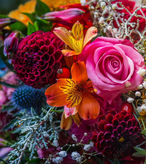 Multi-Color Designer's Choice Arrangement - Can't decide on which bouquet to send? Let the florist design something special. We'll be using the seasons best flowers, all while bringing together a mix of bright and inspiring colors. This arrangement will be a perfect fit for any occasion!