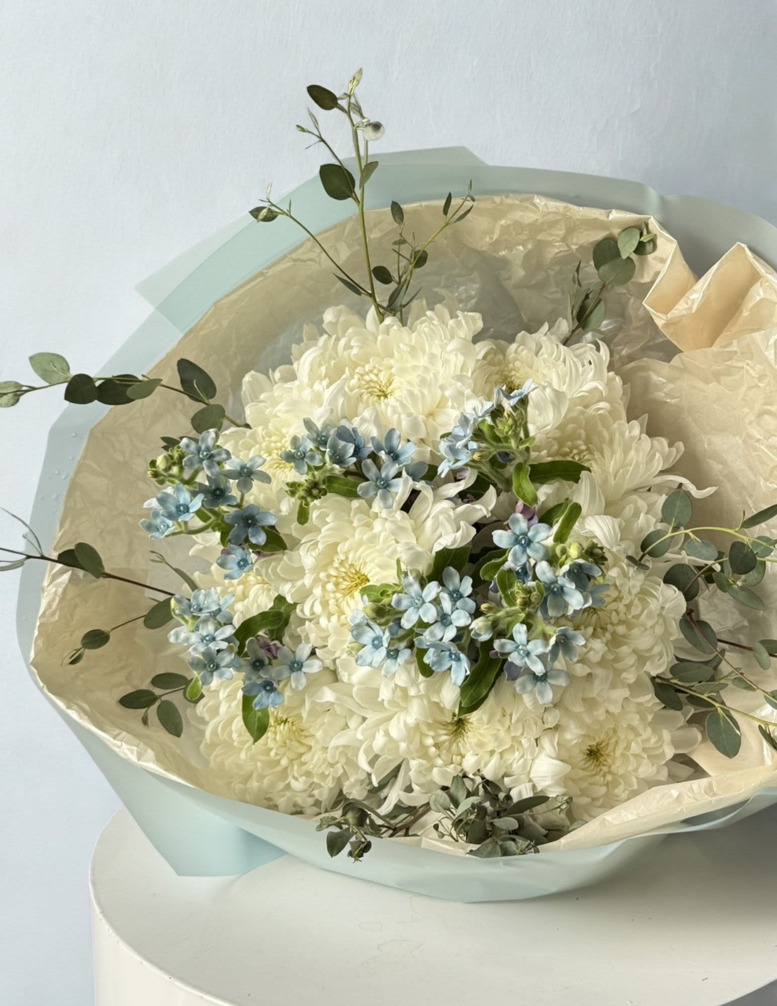 Bluebell Cloud - A soft and dreamy bouquet featuring lush white disbud chrysanthemums accented with delicate blue tweedia blooms and airy eucalyptus foliage. Wrapped in elegant pastel tones, this bouquet captures a fresh, serene beauty inspired by cloudy skies and gentle spring mornings.