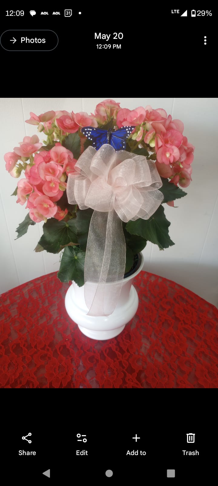 Peach Begonia  - A simple "just because" surprise. The pastel palette of peach, pink, white and soft greens reads feminine and welcoming.  