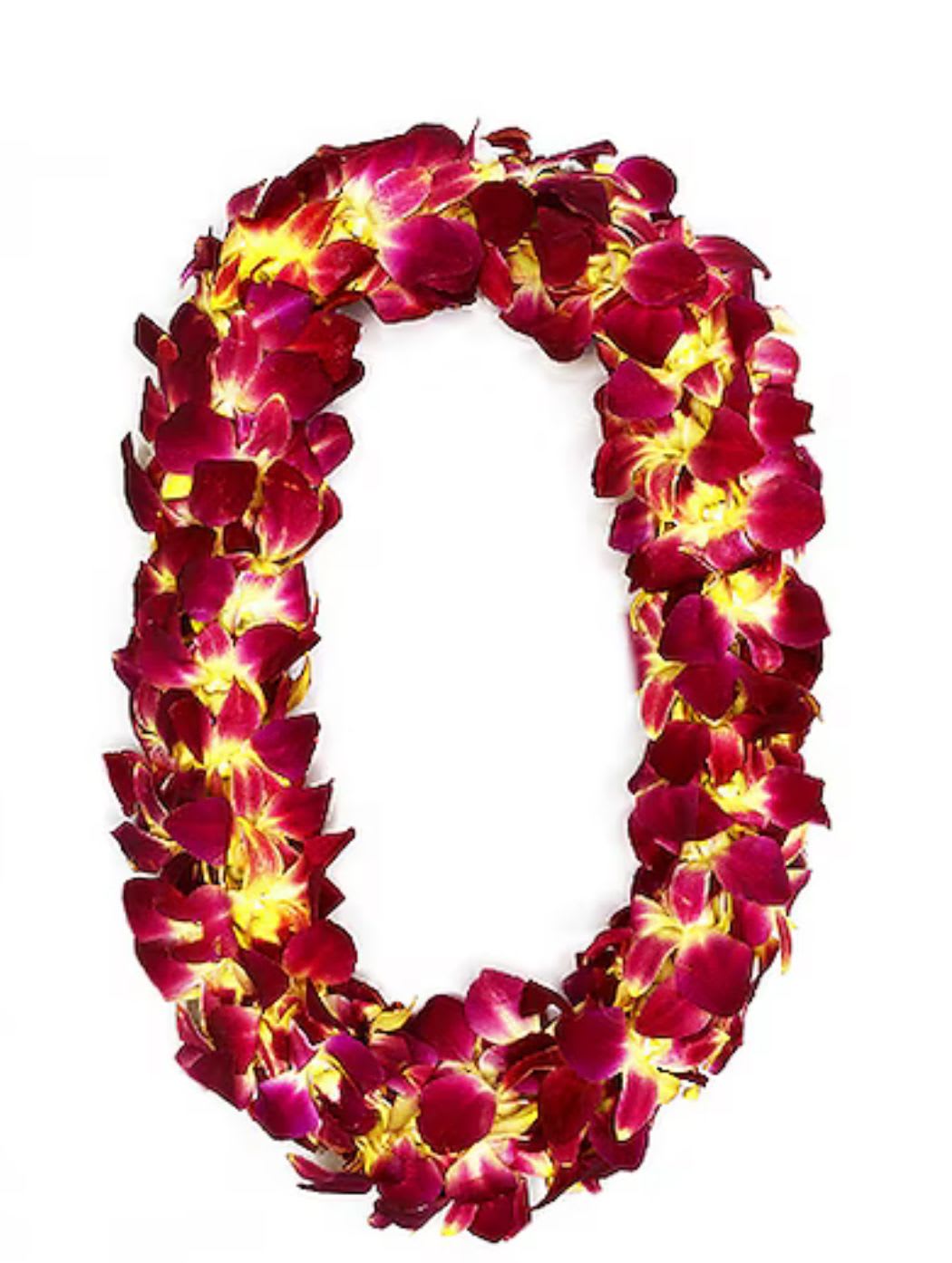 Hawaiian-style flower lei with deep pink petals and yellow centers