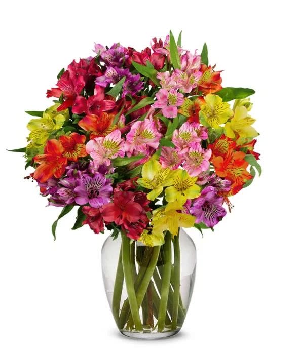     Rainbow Alstroemeria Delight -     Bright and colorful alstroemeria blooms come together in this joyful arrangement bursting with happiness and energy. A perfect everyday bouquet to celebrate friendship, birthdays, congratulations, or simply brighten someone’s day.