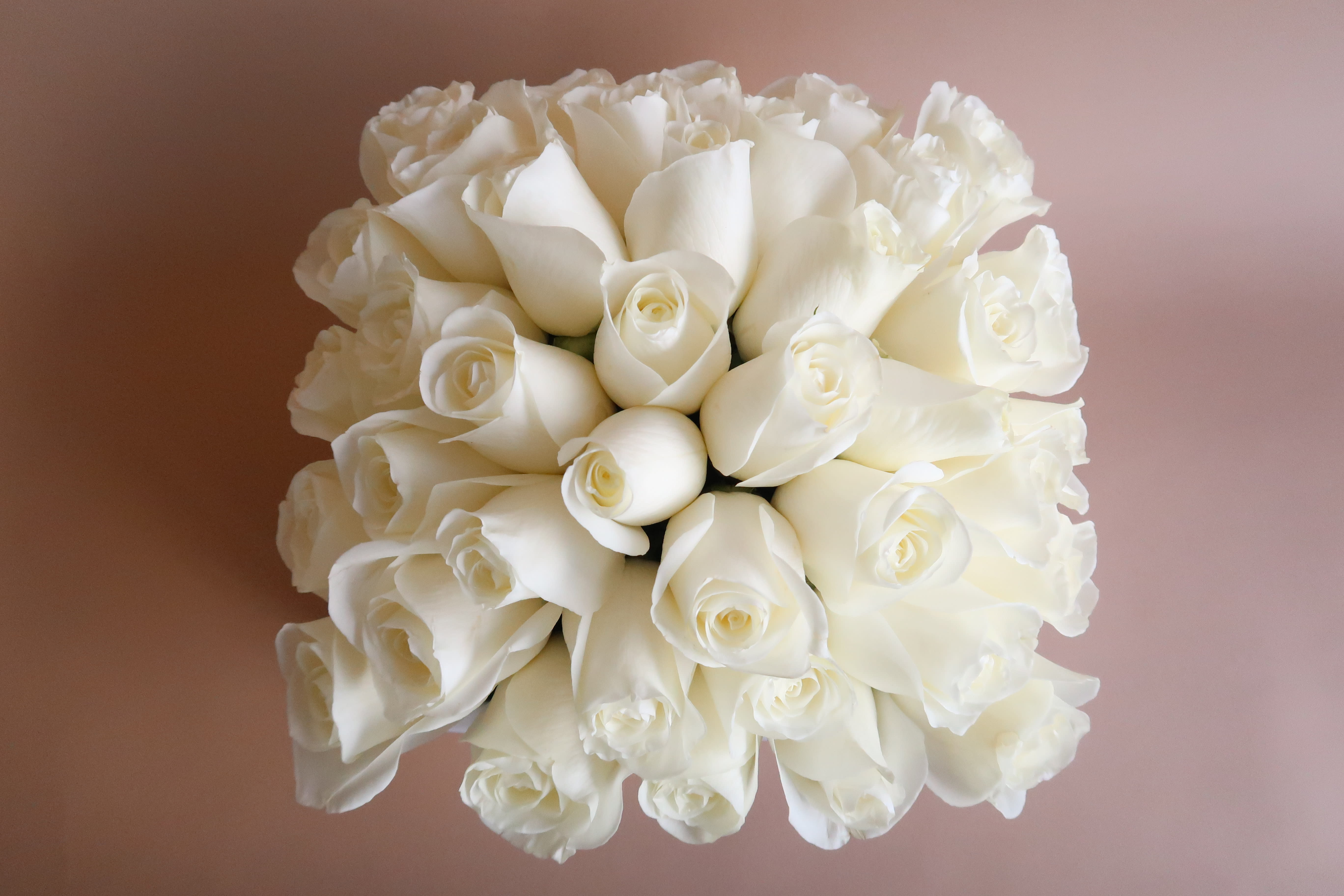 Dreaming - I’m still dreaming of a whole lot of white roses! White vases filled with white roses for an elegant and modern feel. Perfect for all occasions.