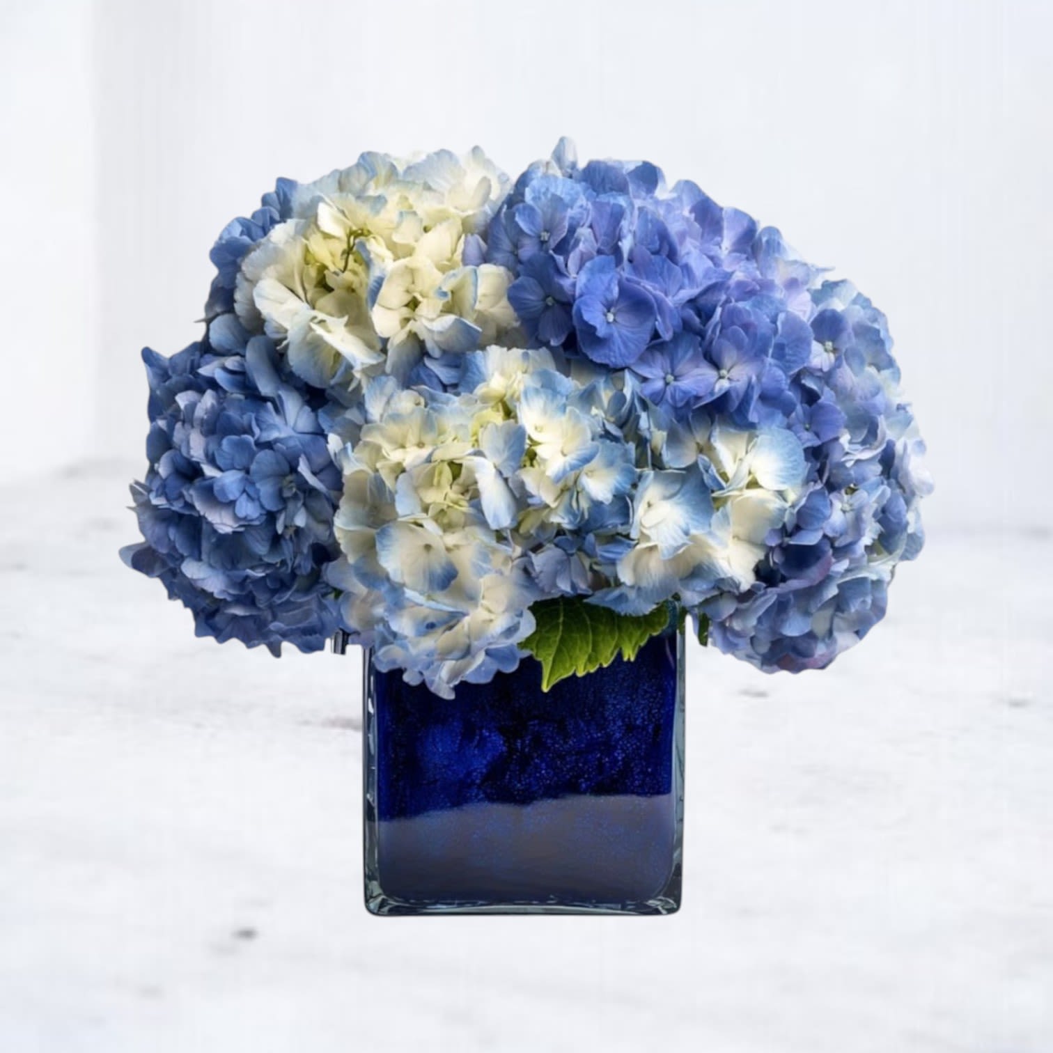 Nebula Sky - Offer a heartfelt expression of sympathy with Nebula Sky, a serene and elegant floral tribute designed to honor a cherished life. This arrangement features lush blue and white hydrangeas, symbolizing peace, remembrance, and eternal love. Nestled in a sleek blue vase, its calming hues bring a sense of comfort and solace during times of loss. Ideal for funeral services, memorial gatherings, or as a meaningful condolence gift, Nebula Bloom conveys your deepest sympathies with grace and beauty.