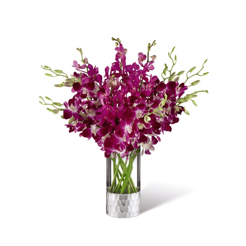 Purple orchids in a clear glass vase with a silver base