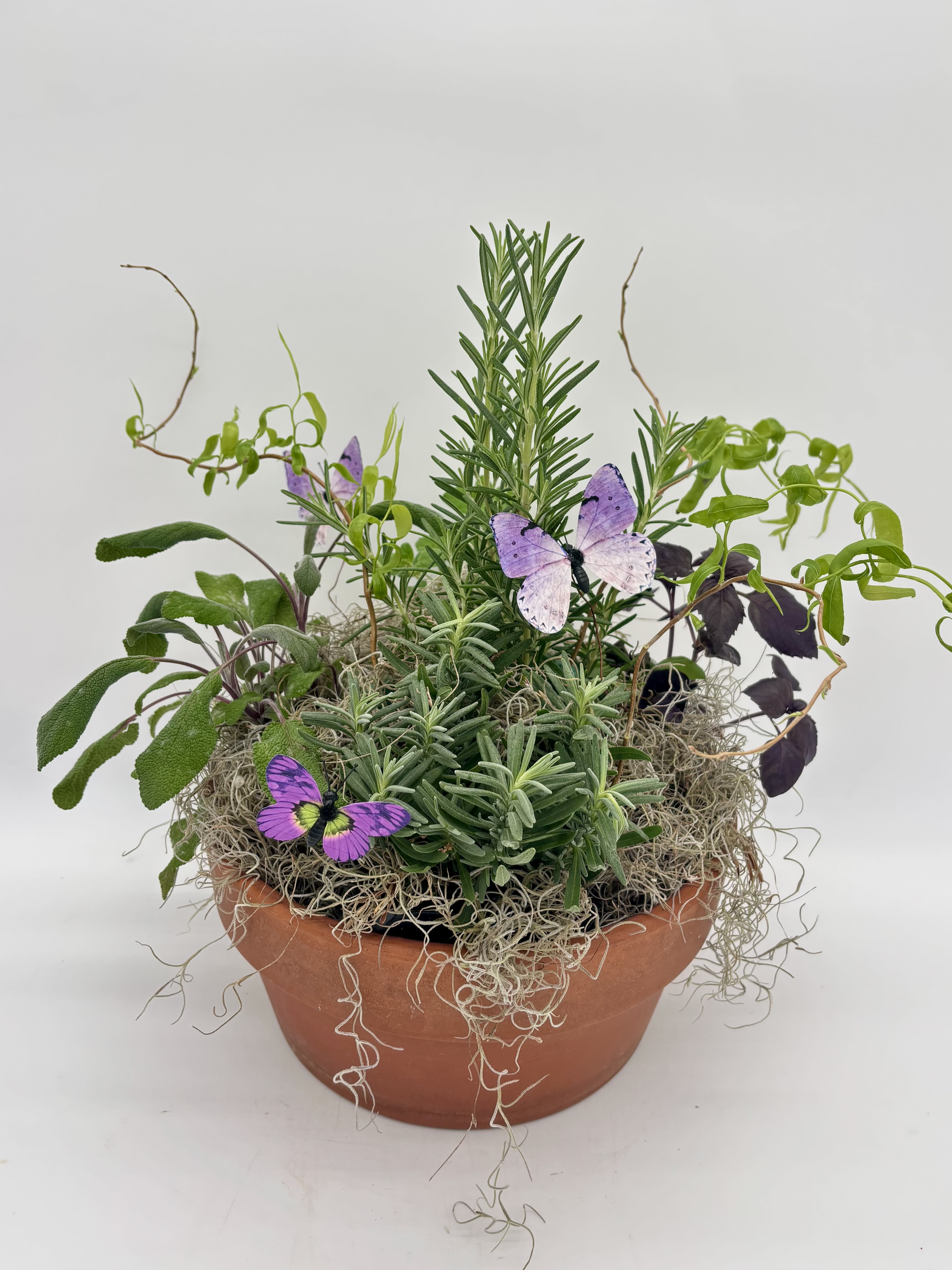 Mother Earth's Kitchen - Not looking for flowers? See our seasonal herb garden! Filled with rosemary, jasmine, sage, basil and oregano. Finished with moss, curly willow and decorative butterflies. Perfect for your garden lovers! 